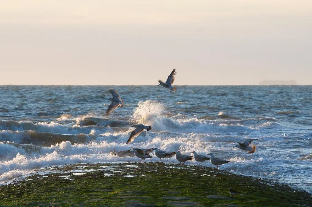 Hotel De Golf Bredene